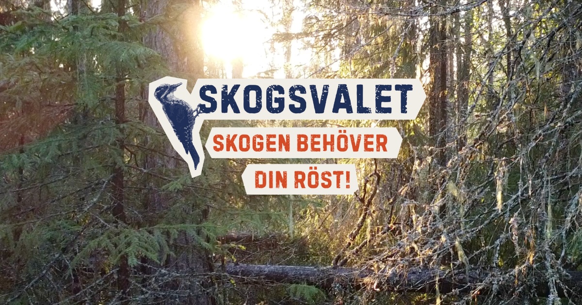 Skogsvalet – Skogen behöver din röst!